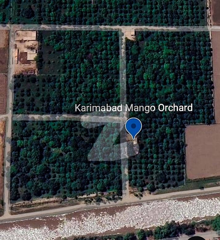 144 Kanal Agriculture Land, with Mango Orchard, For Sale in Mouza Narhal, Tehsil Kabirwala, district Khanewal 144 Kanal Agriculture Land, with Mango Orchard, For Sale in Mouza Narhal, Tehsil Kabirwala, district Khanewal