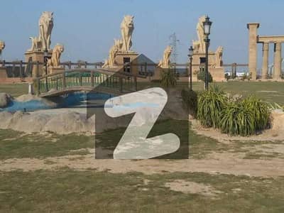 20
