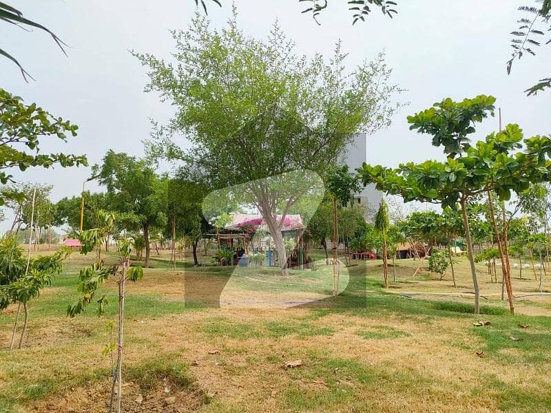 Lease Plot In Andaleeb