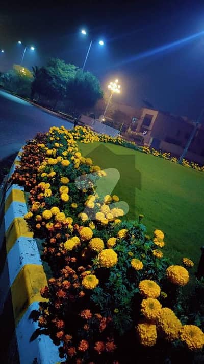 ڈریمز