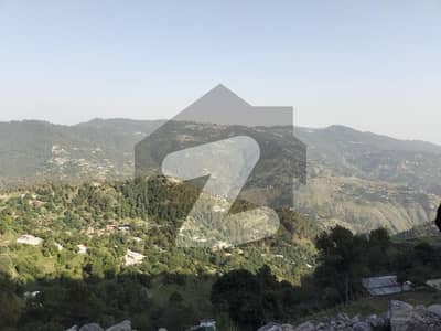 ایوبیہ
