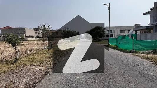 ڈی