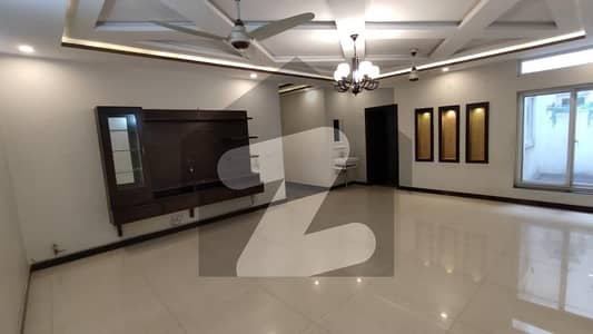 40x80