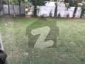 46 