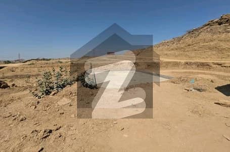 سُرجانی
