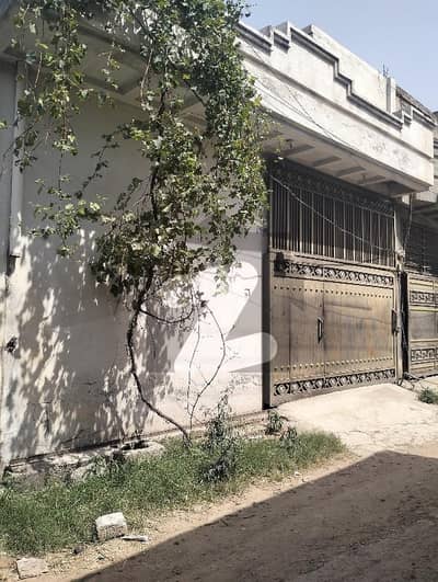 ترلائی