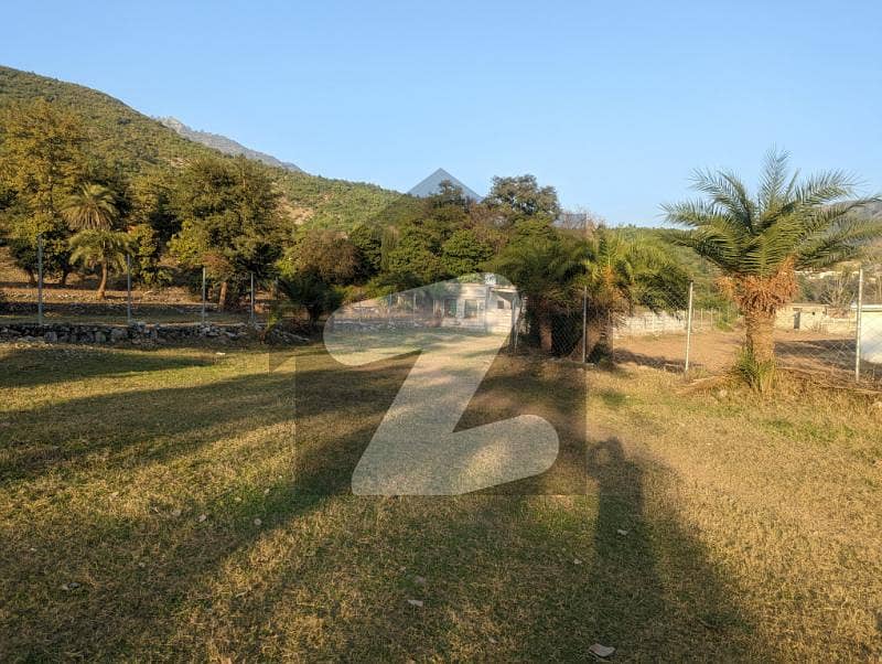 3 Kanal level Land with Animal Shed for sale 3 Kanal level Land with Animal Shed for sale