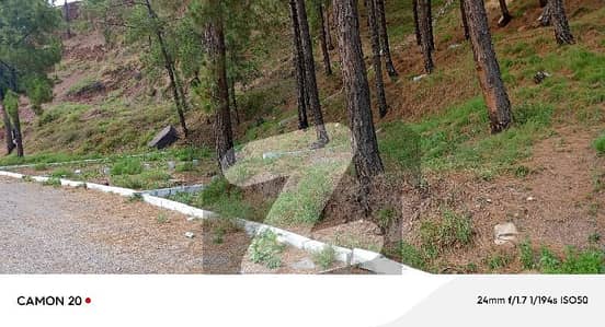 10 Marla Beautiful View Location Plot For Sale At Abbott Heights Abbottabad