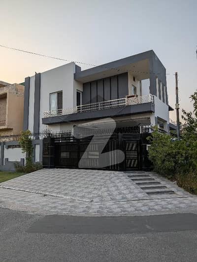 ویلینشیاء