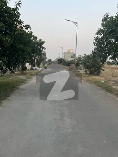 نیو