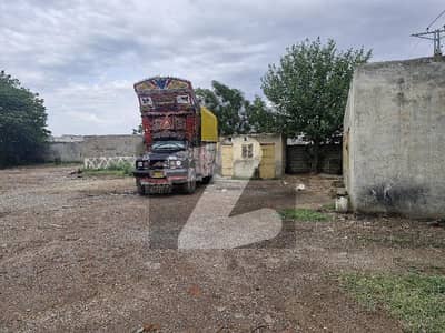 ترنول