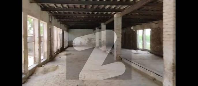 Poultry/Dairy/Katta Farm For Rent Main Sharqpur Road Lahore.