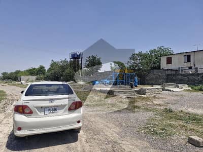 ترنول