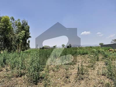 ترنول