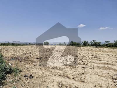 ترنول