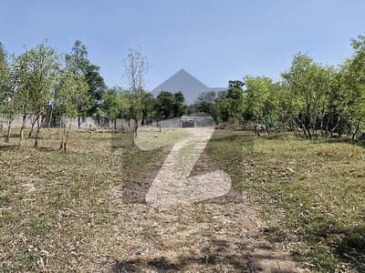 9 Kanal Commercial Land Available For Rent