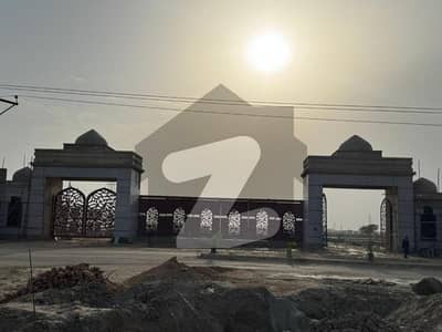 Palm 5 The Best Option For Living
