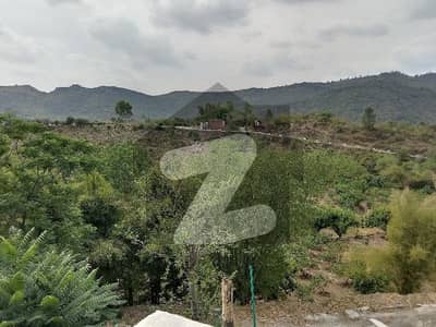 سملی