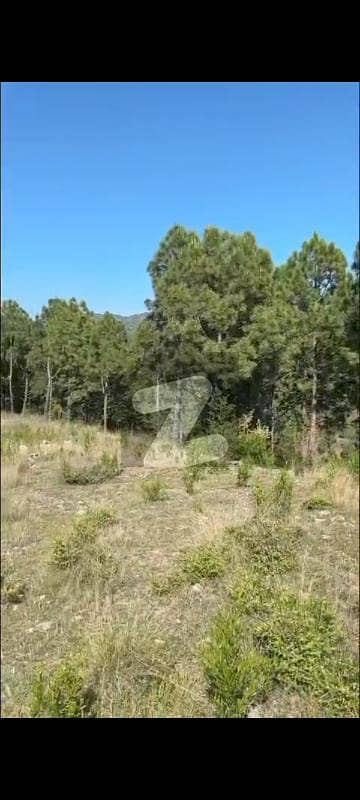 agro n residential farmland in Islamabad