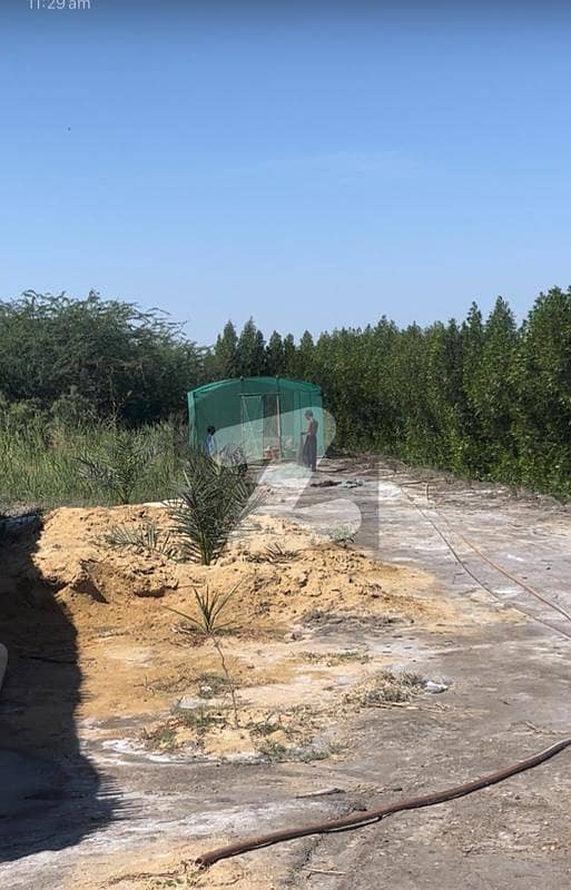 Gharo 7 Acre Land For Sale Prime Location