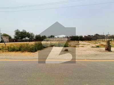 پائن