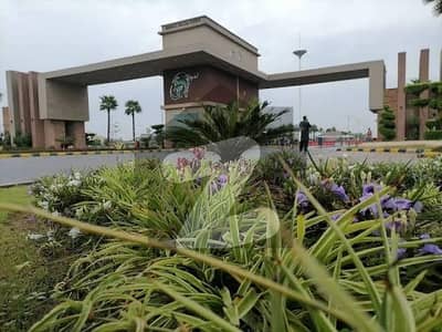 Prime Location Residential Plot Of 10 Marla For sale In Royal Palm City