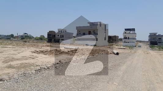 جناح