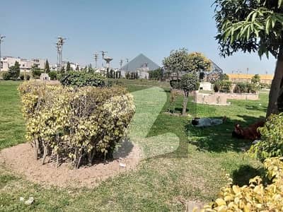 ماسٹر