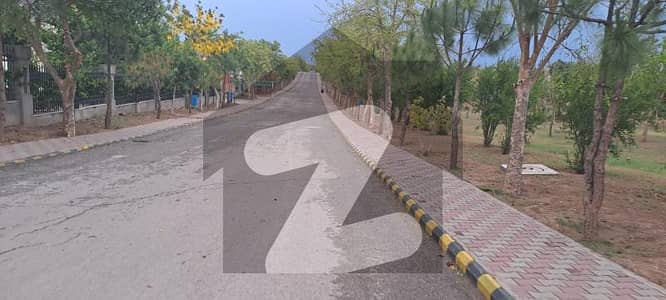 گلبرگ