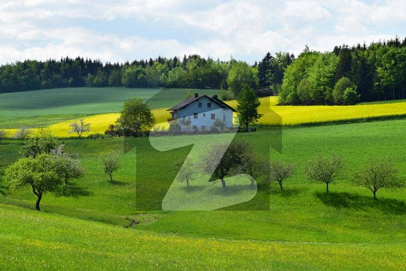 Agricultural land 500 kanal near CPEC & Fateh Jang Agricultural land 500 kanal near CPEC & Fateh Jang