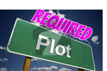 Plot