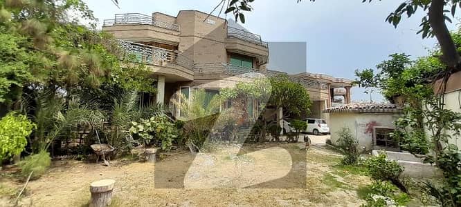 حیات