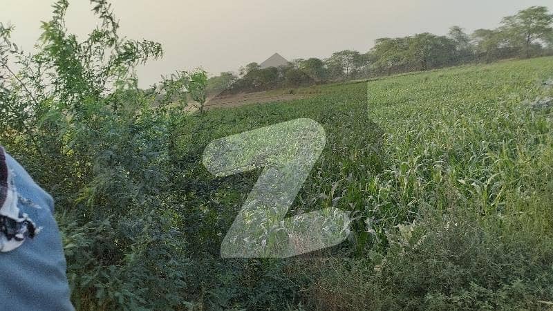 برکی روڈ کینٹ,لاہور میں 1 کنال زرعی زمین 85.0 لاکھ میں برائے فروخت۔ برکی روڈ کینٹ,لاہور میں 1 کنال زرعی زمین 85.0 لاکھ میں برائے فروخت۔