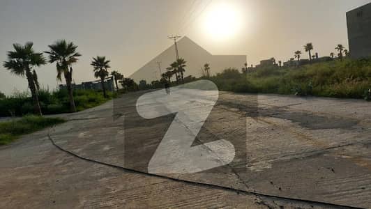 زمر