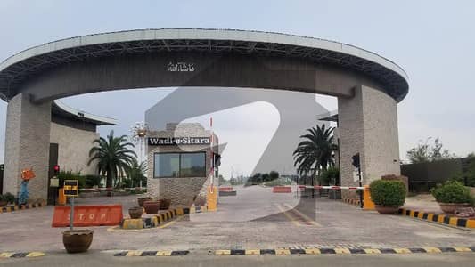 وادی