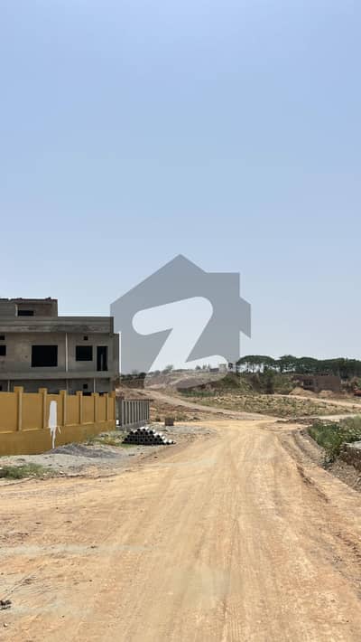 جناح