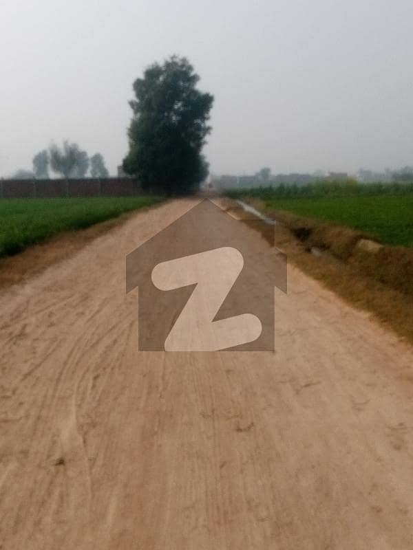 بیدیاں روڈ لاہور میں 720 کنال زرعی زمین 45.0 کروڑ میں برائے فروخت۔ بیدیاں روڈ لاہور میں 720 کنال زرعی زمین 45.0 کروڑ میں برائے فروخت۔