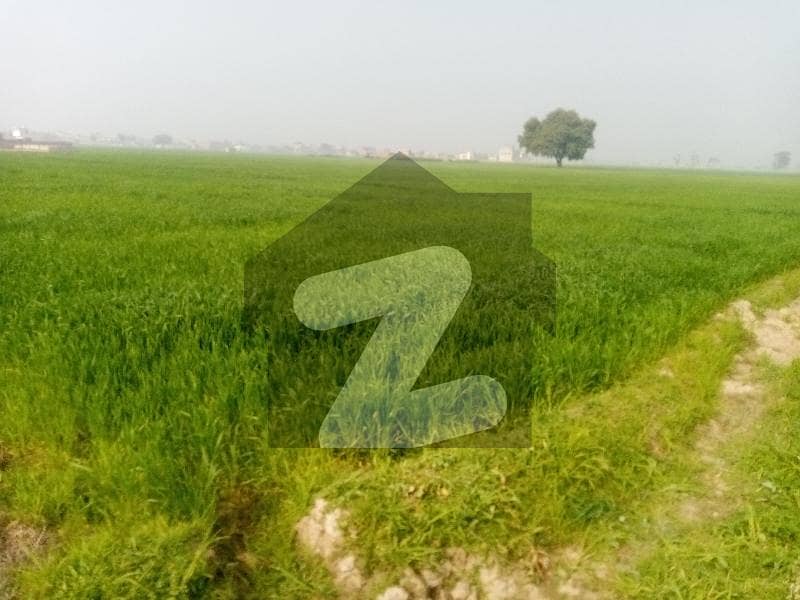 25 