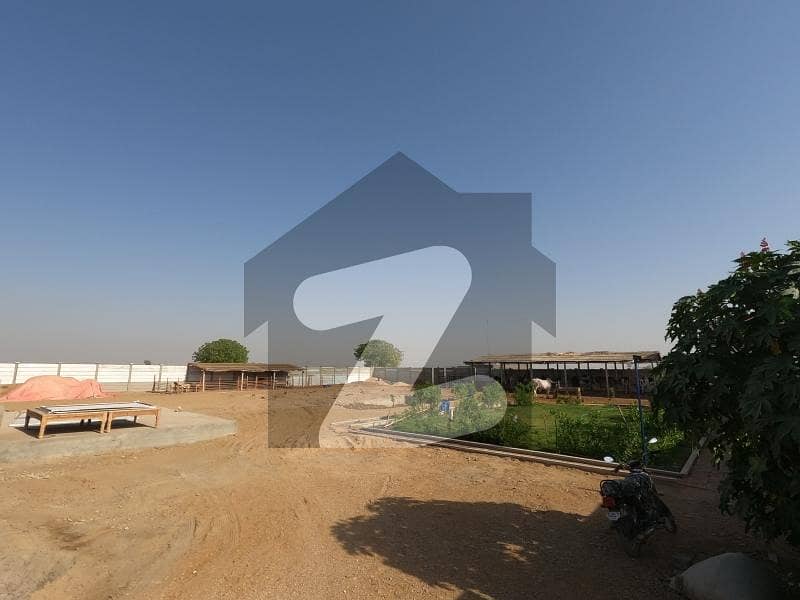 CATTLE FARM LAND CATTLE FARM LAND