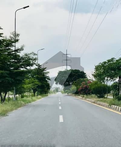 ریگی