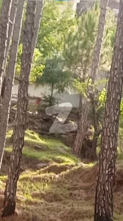 "10 Marla Plot Urgent Sale Murree Expressway Near Aagosh College Rs. 65 Lac"