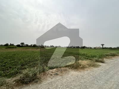 برکی
