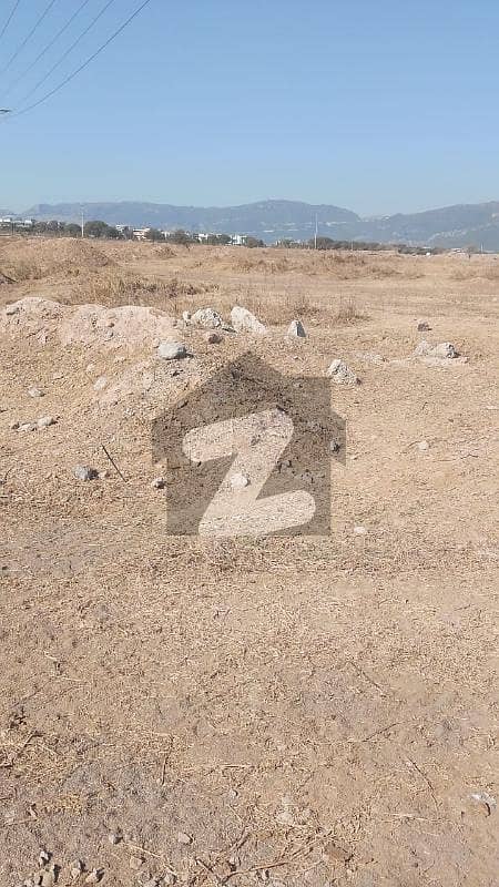 8 Marla plot for sale 8 Marla plot for sale