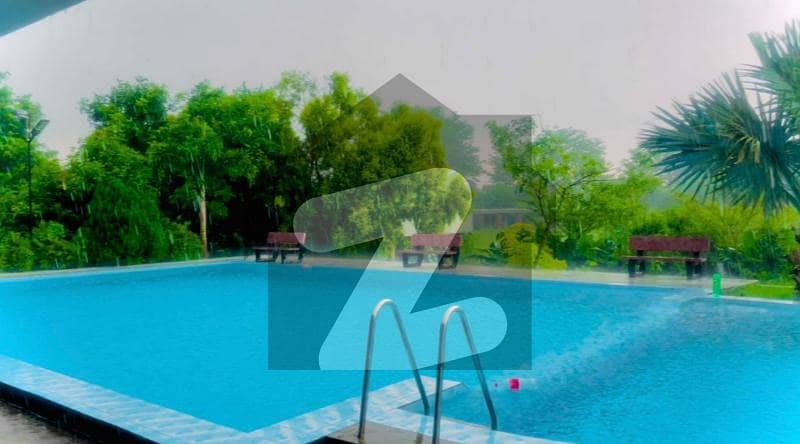 Swimming Pool Fresh Water 20 Kanal Farm House Daily Basis Book Fully Furnished This Luxury Swimming Pool Fresh Water 20 Kanal Farm House Daily Basis Book Fully Furnished This Luxury