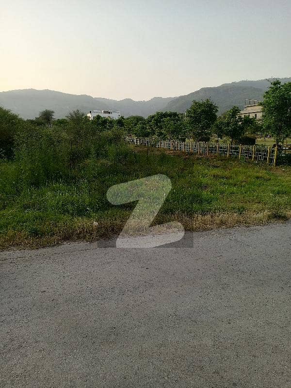 Top Location Plot For Sale In D-12/3 Top Location Plot For Sale In D-12/3