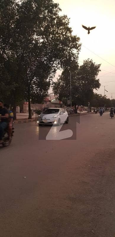 گلستانِِ