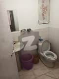 20 