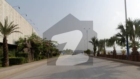 ڈی