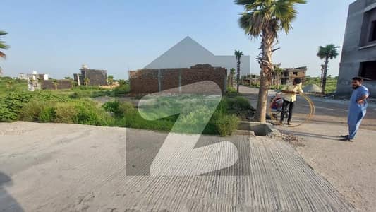 زمر