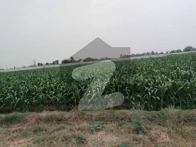 بیدیاں